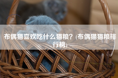 布偶猫喜欢吃什么猫粮？(布偶猫猫粮排行榜)