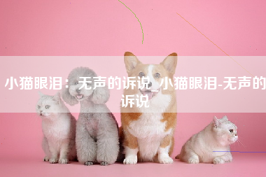 小猫眼泪：无声的诉说_小猫眼泪-无声的诉说