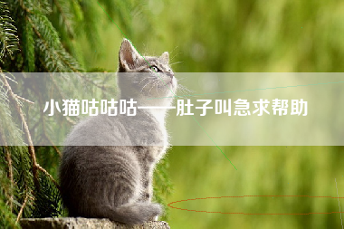 小猫咕咕咕——肚子叫急求帮助