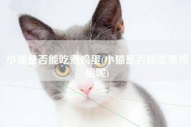 小猫是否能吃煮鸡蛋(小猫是否能吃煮鸡蛋呢)