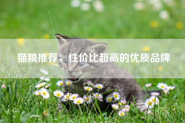 猫粮推荐：性价比超高的优质品牌