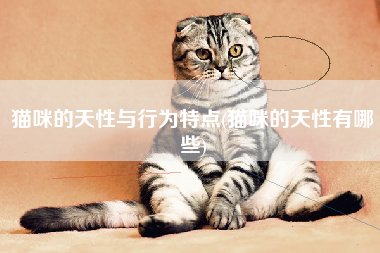 猫咪的天性与行为特点(猫咪的天性有哪些)