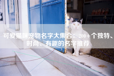 可爱猫咪宠物名字大集合：200+个独特、时尚、有趣的名字推荐