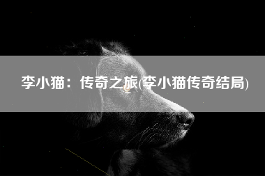 李小猫：传奇之旅(李小猫传奇结局)