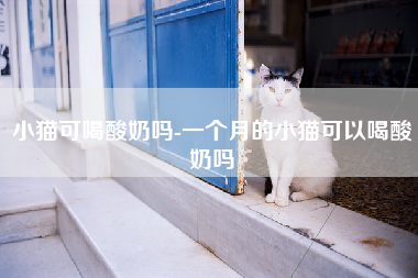 小猫可喝酸奶吗-一个月的小猫可以喝酸奶吗