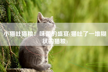 小猫吐猫粮：味蕾的盛宴(猫吐了一堆糊状的猫粮)