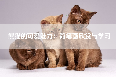 熊猫的可爱魅力：简笔画欣赏与学习