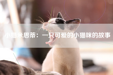 小猫米思蒂：一只可爱的小猫咪的故事