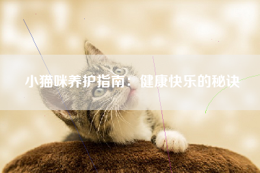 小猫咪养护指南：健康快乐的秘诀