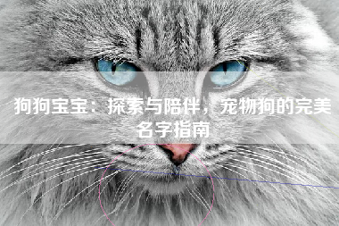 狗狗宝宝：探索与陪伴，宠物狗的完美名字指南