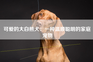 可爱的大白熊犬：一种温顺聪明的家庭宠物