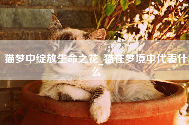 猫梦中绽放生命之花_猫在梦境中代表什么