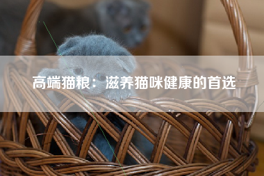 高端猫粮：滋养猫咪健康的首选