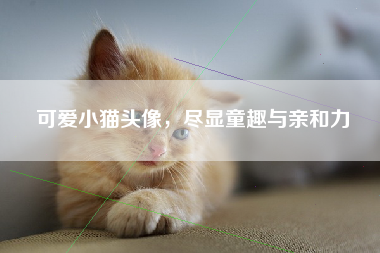 可爱小猫头像，尽显童趣与亲和力