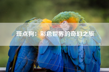 斑点狗：彩色世界的奇幻之旅