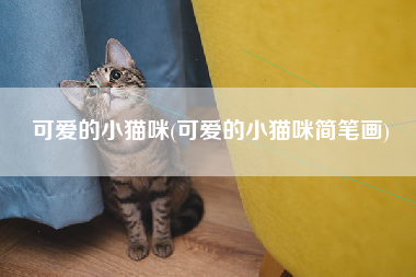 可爱的小猫咪(可爱的小猫咪简笔画)