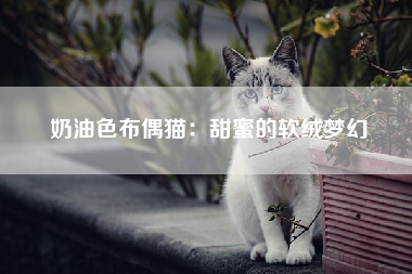 奶油色布偶猫：甜蜜的软绒梦幻