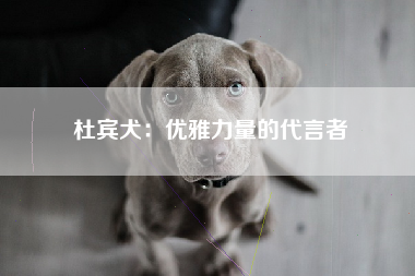 杜宾犬：优雅力量的代言者