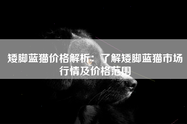 矮脚蓝猫价格解析：了解矮脚蓝猫市场行情及价格范围