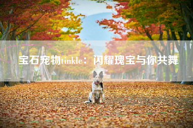 宝石宠物tinkle：闪耀瑰宝与你共舞