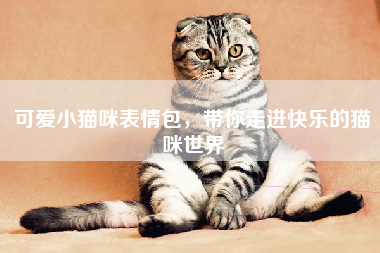 可爱小猫咪表情包，带你走进快乐的猫咪世界