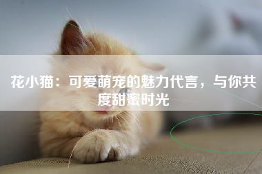 花小猫：可爱萌宠的魅力代言，与你共度甜蜜时光