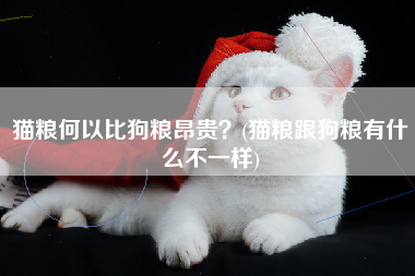 猫粮何以比狗粮昂贵？(猫粮跟狗粮有什么不一样)