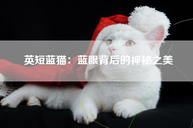 英短蓝猫：蓝眼背后的神秘之美