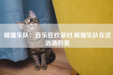 橘猫乐队：音乐狂欢派对,橘猫乐队在这汹涌的夏