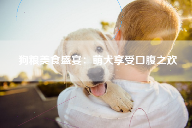 狗粮美食盛宴：萌犬享受口腹之欢