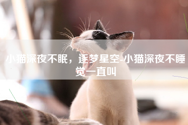 小猫深夜不眠，逐梦星空-小猫深夜不睡觉一直叫