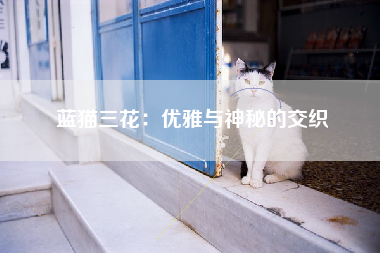 蓝猫三花：优雅与神秘的交织