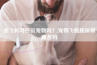 坐飞机可托运宠物吗？,宠物飞机托运很痛苦吗