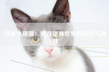 可爱小猫猫：探寻猫咪世界的奇妙与趣味