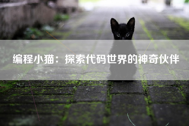 编程小猫：探索代码世界的神奇伙伴