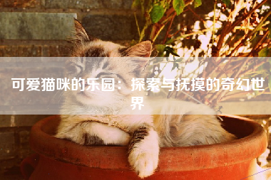 可爱猫咪的乐园：探索与抚摸的奇幻世界