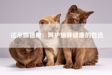 法米娜猫粮：呵护猫咪健康的首选