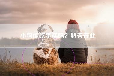 小狗能吃蛋糕吗？解答在此