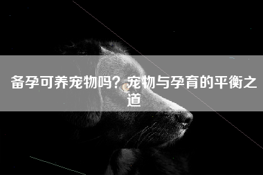 备孕可养宠物吗？宠物与孕育的平衡之道