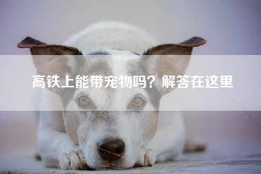 高铁上能带宠物吗？解答在这里