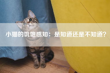 小猫的饥饱感知：是知道还是不知道？