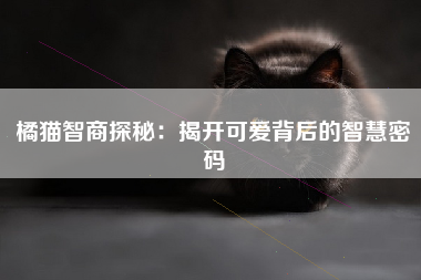 橘猫智商探秘：揭开可爱背后的智慧密码