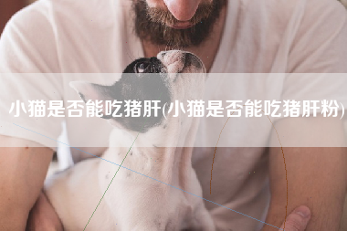 小猫是否能吃猪肝(小猫是否能吃猪肝粉)