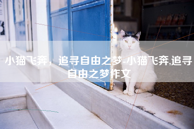 小猫飞奔，追寻自由之梦-小猫飞奔,追寻自由之梦作文