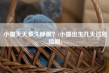 小猫天天多久睁眼？(小猫出生几天过危险期)