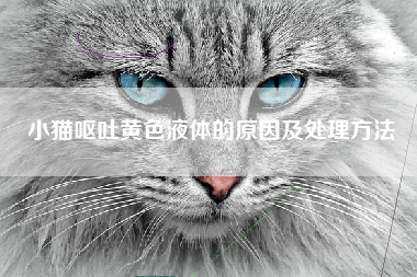 小猫呕吐黄色液体的原因及处理方法