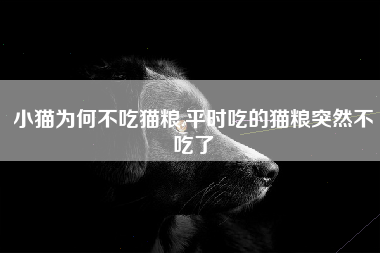 小猫为何不吃猫粮,平时吃的猫粮突然不吃了