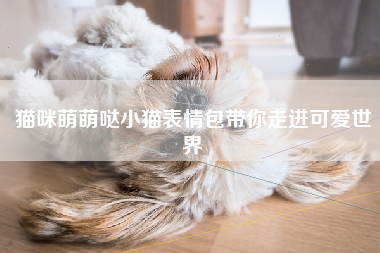 猫咪萌萌哒小猫表情包带你走进可爱世界