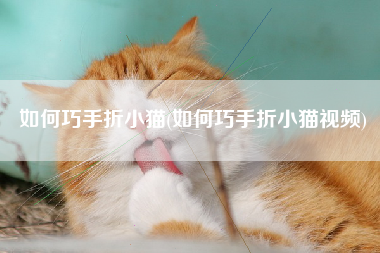 如何巧手折小猫(如何巧手折小猫视频)