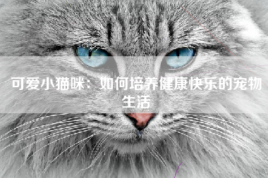 可爱小猫咪：如何培养健康快乐的宠物生活